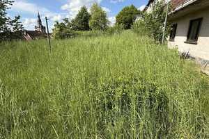 Familienhaus / mit Fernblick / Garten Südlage /ruhige Lage Waldrand  Tholey 

 – Sankt Wendel (Kreis) – Vorschaubild 4