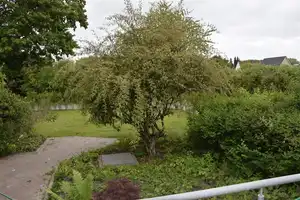So will ich Wohnen!Nordseebad Otterndorf! Repräsentative Stadtvilla hochwertig und stilvoll saniert! – Scholienstraße 21, 21762 Cuxhaven (Kreis) – Vorschaubild 7