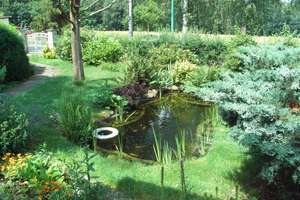 Paradies für Naturliebhaber - Eckgrundstück mit Bungalow – Die vollständige Adresse der Immobilie erhältst du vom Anbieter., 4349 Plaußig-Portitz, Leipzig – Vorschaubild 10