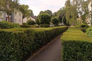 2,5-Zimmer-Wohnung in Krefeld-Linn – Pastoriusstraße 28, 47809 Linn, Krefeld – Vorschaubild 3