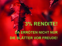 Traunstein (Kreis), ... - Eigentumswohnungen, 2-Zimmer