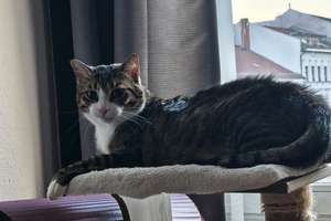 Property thumbnail 1