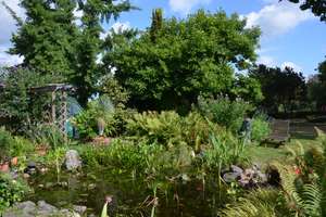 Großzügiges Gartenparadies mit freistehendem Einfamilienhaus -Ideal für Familien und Tierhaltung- – Im Haselbusch 56, 47447 Bettenkamp, Moers – Vorschaubild 20