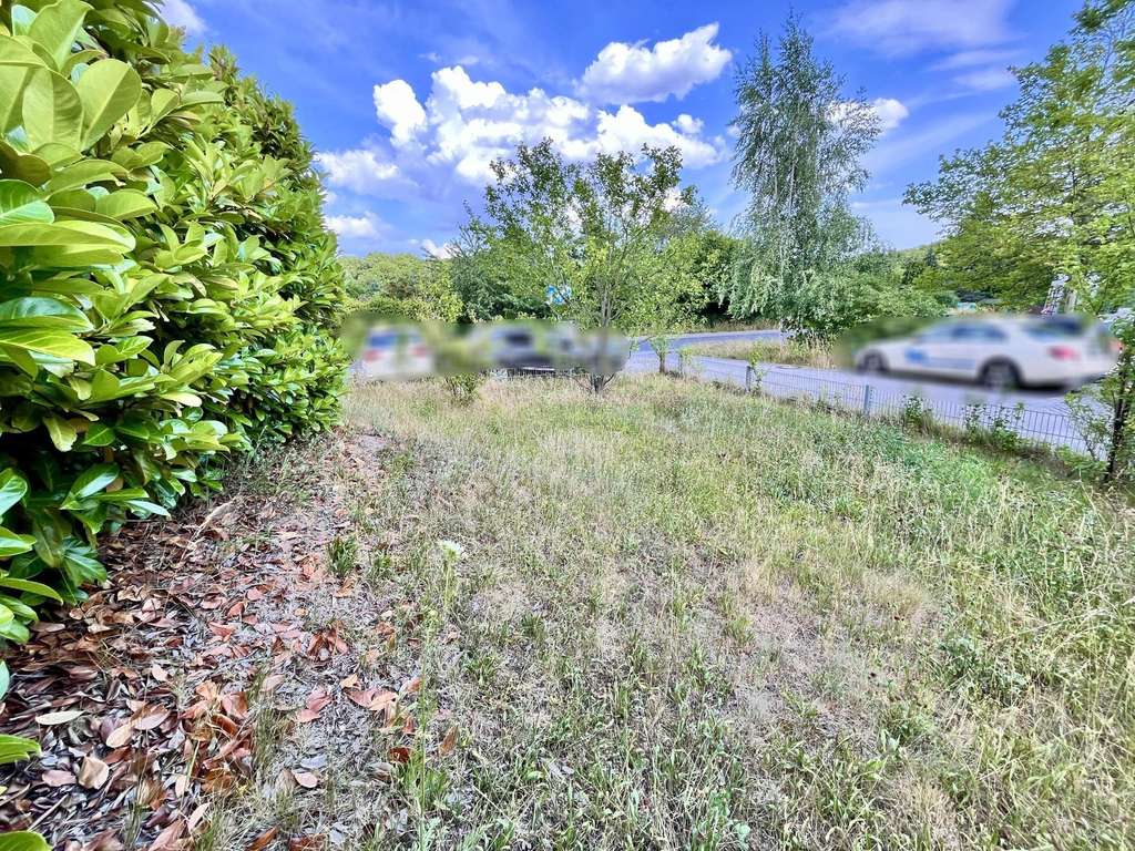 Immobilie in Doberlug-Kirchhain - Drei, Zwei, Eins - Meins  - Bild 3