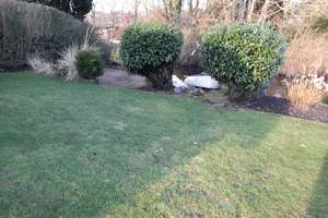 Property thumbnail 16