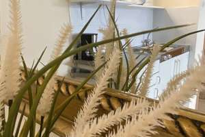 Schicke Single Wohnung (möbliert) nähe Japanviertel