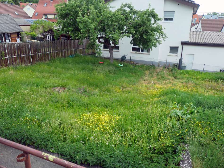 Garten hinter dem Haus