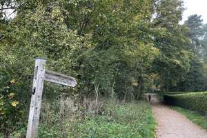 Charmante Doppelhaushaelfte direkt am Naturschutzgebiet – Riehlstraße x, 21033 Lohbrügge, Hamburg – Vorschaubild 2