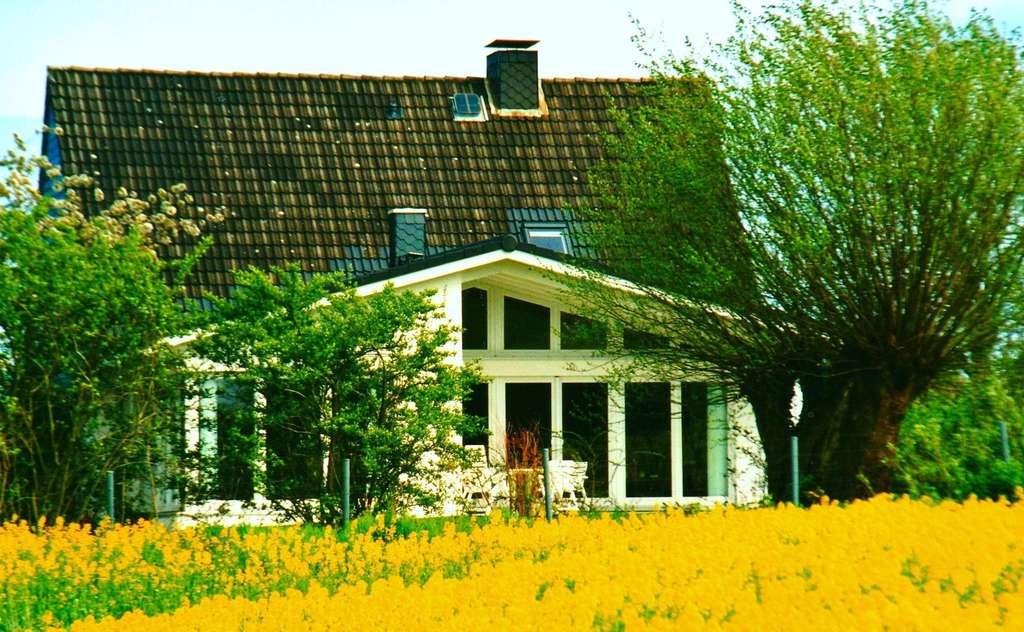 Immobilie in Ottendorf - Ruhig in der Natur - und doch zentral gelegen - Bild 1