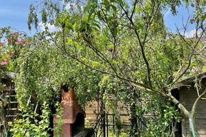 Property thumbnail 22