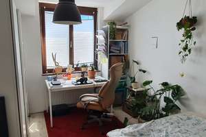 Interessantes Reihenmittelhaus, preislich passend , frei nach Absprache – Schlossgasse 59 a, 79639 Grenzach-Wyhlen – Vorschaubild 18