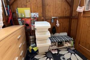 Gepflegtes 3-Zimmer-Einfamilienhaus mit Garage, Garten, Pavillon und Schuppen in Auernheim – Die vollständige Adresse der Immobilie erhältst du vom Anbieter., 89564 Nattheim – Vorschaubild 23