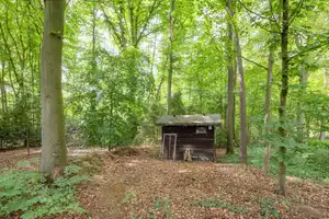 Grünes Glück 
Einfamilienhaus mit anliegendem Waldgrundstück – Diepholz (Kreis) – Vorschaubild 18