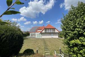Ehemalige Unternehmervilla mit 500 qm Wohnfläche! 2392 qm Grundstück direkte Wald- und Feldrandlage! – Die vollständige Adresse der Immobilie erhältst du vom Anbieter., 33142 Büren – Vorschaubild 8