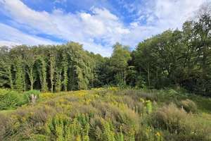 1 von 4: bezugsfertige Neubau - Doppelhaushälfte in Kayhude: Wohnen am Wald mit Alsterlauf  – Die vollständige Adresse der Immobilie erhältst du vom Anbieter., 23863 Kayhude – Vorschaubild 3