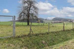 Viel Platz und Naturidyll: Großes EFH mit extra Grundstück für Tierhaltung in ruhiger Lage – Cham (Kreis) – Vorschaubild 21