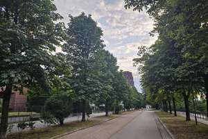 Provisionsfrei zum Sofortbezug: Attraktive, sonnige 3 Zi-Wohnung im Deutschherrnviertel – 60594 Sachsenhausen-Nord, Frankfurt am Main – Vorschaubild 11