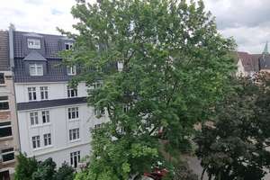 Altbau-Charme im Kreuzviertel: 4‑Zimmer‑Wohnung – Ausbaureserve im Dachgeschoss – Arneckestraße 17, 44139 Westfalenhalle, Dortmund – Vorschaubild 13