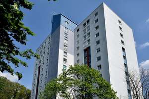 Wohnung mit Boden und Einbauküche am Klinikum // EG Wohnung 1 – Hochring 30a, 38440 Eichelkamp, Wolfsburg – Vorschaubild 2