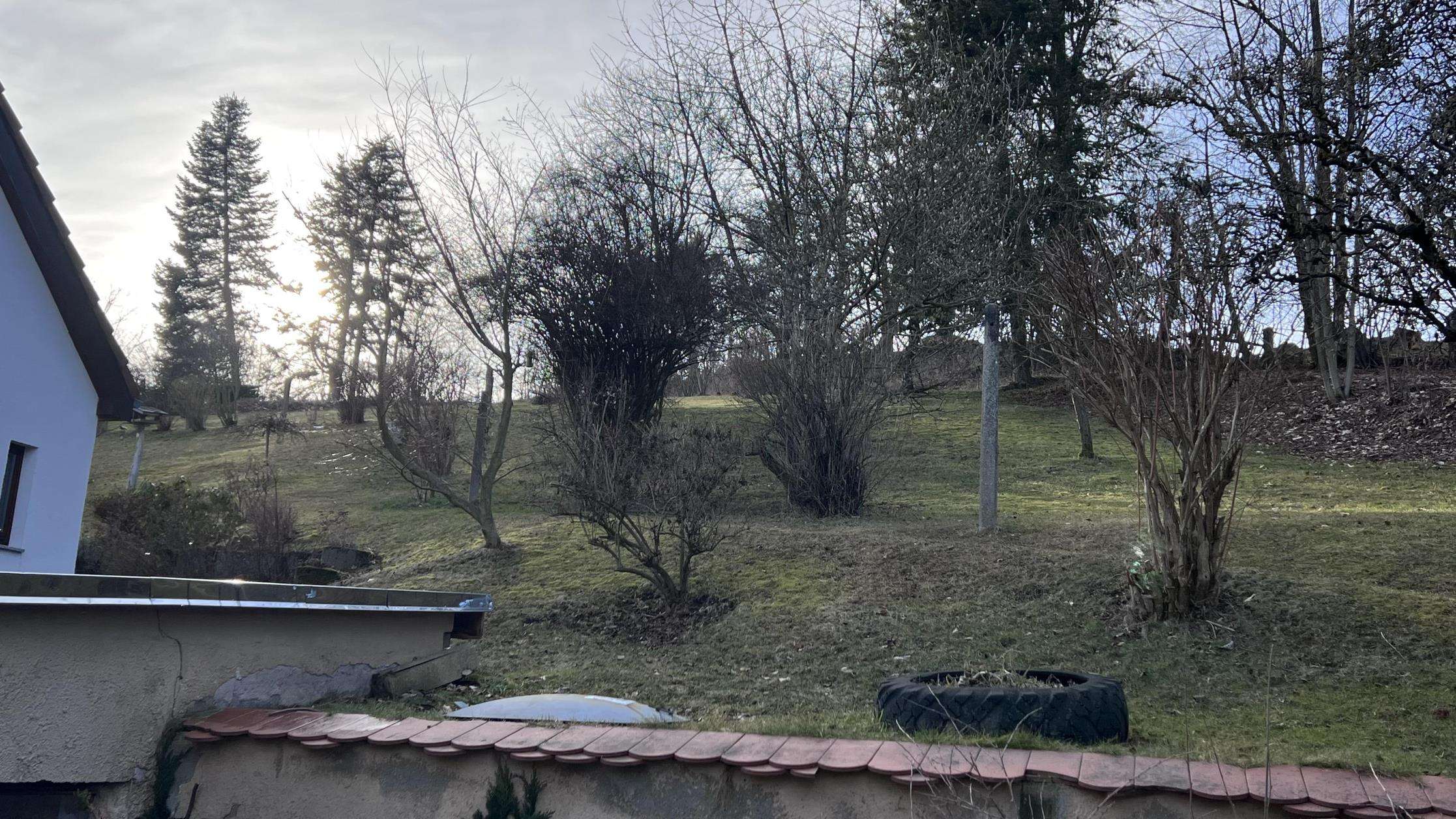 Multitalent für Landliebhaber, Zwickau Kreis – Bild 4