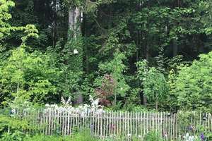Großzügiges Haus in Traumlage + moderne Haustechnik – Die vollständige Adresse der Immobilie erhältst du vom Anbieter., 94259 Kirchberg im Wald – Vorschaubild 11