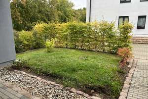 Modernes Reihenhaus mit hochwertiger Ausstattung in einer schönen Wohnanlage – Gut Passendorf 2-41, 6124 Südliche Neustadt, Halle (Saale) – Vorschaubild 7