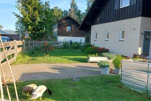 Kleines Schmuckstück im Bayerischen Wald! – Freyung-Grafenau (Kreis) – Vorschaubild 15