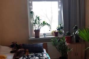 Helle 3-Zimmer Wohnung mit Balkon im 1. OG in Chemnitz-Markersdorf – Ludwig-Kühn-Straße 9, 9123 Markersdorf, Chemnitz – Vorschaubild 5