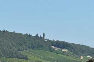 Großzügige Unternehmervilla mit schönem Fernblick in traumhafter Lage – Mainz-Bingen (Kreis) – Vorschaubild 16