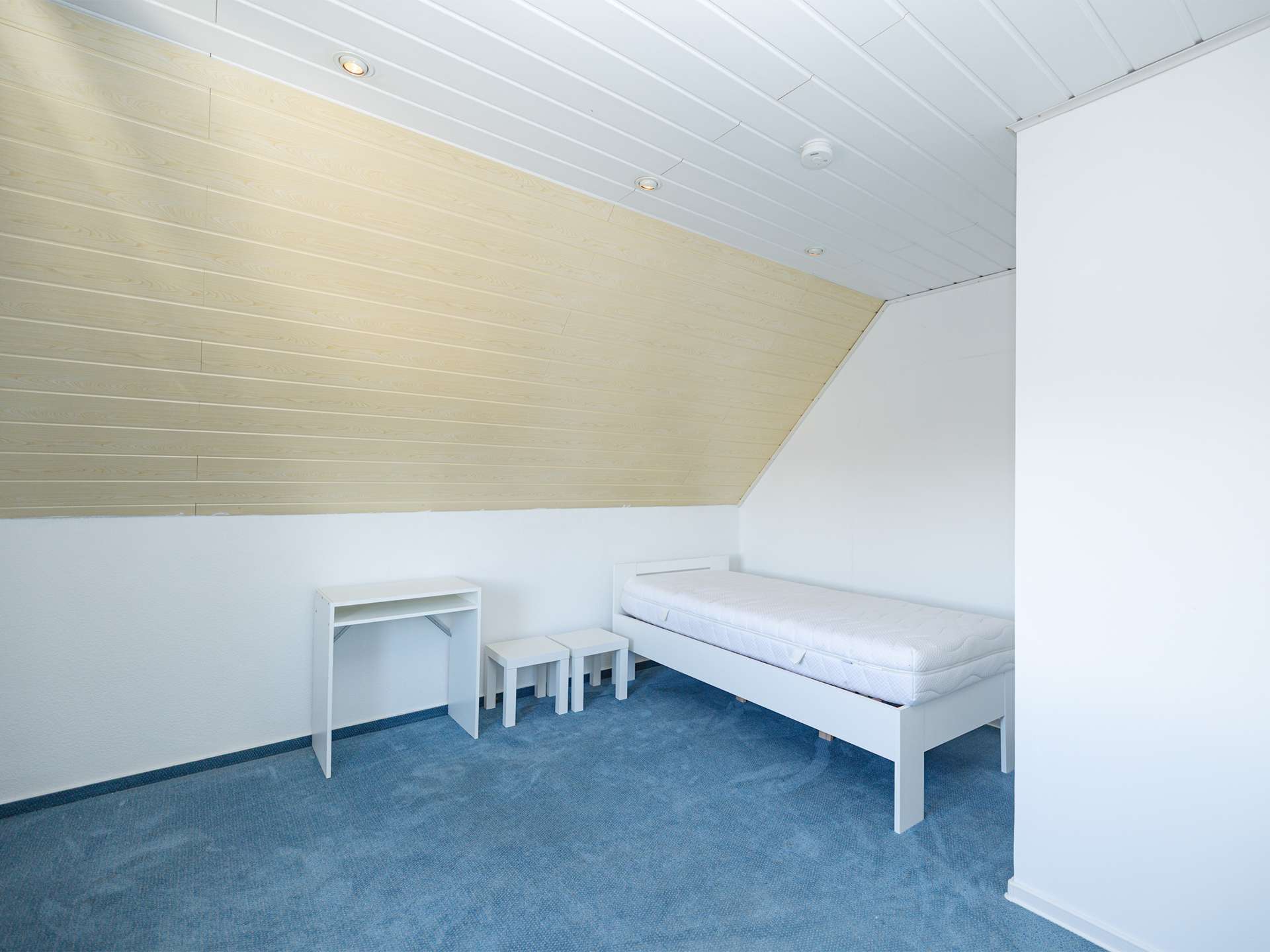 Immobilie in Hiddenhausen - Großes Ein- bis Zweifamilienhaus auf traumhaftem Grundstück in Hiddenhausen - Bild 6