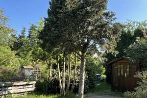 Ein "Haus im Haus" mit Terrasse, eigenem Garten und Tiefgarage.... – Schütte-Lanz-Str. 13, 12209 Lichterfelde, Berlin – Vorschaubild 23