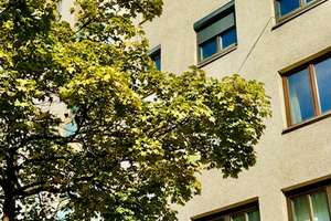 Property thumbnail 13