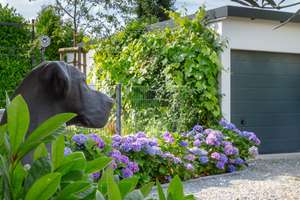 Provisionsfrei:Vor den Toren Hamburgs: Exkl. Einfamilienhaus mit großz. Garten, Sauna , Fitness u.a. – Die vollständige Adresse der Immobilie erhältst du vom Anbieter., 21514 Hornbek – Vorschaubild 18