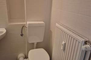 Frisch renovierte 1 Raum Wohnung sucht neuen Mieter – 4349 Thekla, Leipzig – Vorschaubild 5