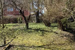Raum für Ideen: Reihenhaus mit vier Ebenen in Freudenstadt – Die vollständige Adresse der Immobilie erhältst du vom Anbieter., 72250 Freudenstadt – Vorschaubild 5