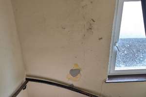 Dachgeschosswohnung in Bremen Findorff zu verkaufen. – Die vollständige Adresse der Immobilie erhältst du vom Anbieter., 28215 Regensburger Straße, Bremen – Vorschaubild 5