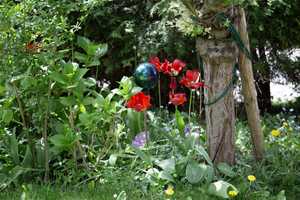 Großzügiges Wohlfühl-Haus mit wunderschönem Gartenidyll in Probstried – Oberallgäu (Kreis) – Vorschaubild 5