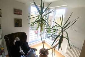 Schöner Wohnen nähe Forstbotanischem Garten im Kölner Süden, Doppelhaushälfte mit Garten – Halv-Miel-Ring ., 50997 Rondorf, Köln – Vorschaubild 24