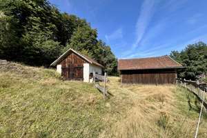 Hof - Pferdehof / Bauernhof mit 18.000 m2 nähe Tittling TOP LAGE an der B-85 – Die vollständige Adresse der Immobilie erhältst du vom Anbieter., 94163 Saldenburg – Vorschaubild 27