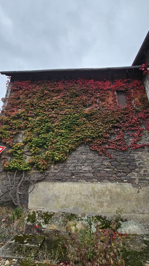 Immobilie in Antrifttal - Charmantes Bauernhaus mit viel Potential für die ganze Familie. - Bild 3