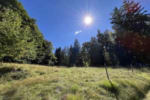 Hof - Pferdehof / Bauernhof mit 18.000 m2 nähe Tittling TOP LAGE an der B-85 – Die vollständige Adresse der Immobilie erhältst du vom Anbieter., 94163 Saldenburg – Vorschaubild 33