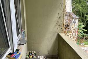 Kompaktes Wohnen: 1-Zimmer-Apartment in Leverkusen – Dönhoffstr. 17, 51373 Wiesdorf, Leverkusen – Vorschaubild 3