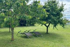 Modernes Einfamilienhaus mit 1.800 m² Garten + 3.300 m² Ackerland/Wiese – vielseitig nutzbar – Hauptstraße 1, 17268 Boitzenburger Land – Vorschaubild 9