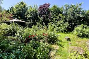 RESERVIERT! Wohnhaus nebst Doppelcarport und tollem Garten mit beeindruckender Pflanzenvielfalt! – Lippe (Kreis) – Vorschaubild 9
