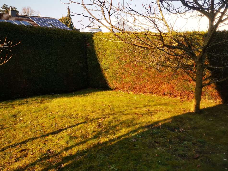 Garten_ELW