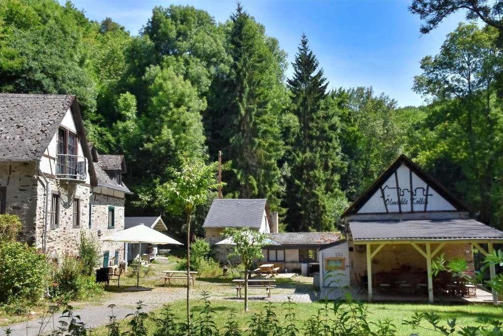 Immobilie in Kollig - Historische Ölmühle und einzigartiger Rückzugsort mit viel Sonne - Bild 1