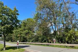 Das flexible Haus für schmale Grundstücke in Großrudestedt – Sömmerda (Kreis) – Vorschaubild 4