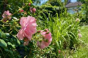 Property thumbnail 39