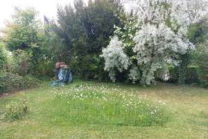 Viel Platz für den Alltag: Erdgeschoss mit Garten in Einfamilienhaus in Sigmaringendorf – Die vollständige Adresse der Immobilie erhältst du vom Anbieter., 72517 Sigmaringendorf – Vorschaubild 8