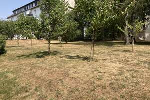 Provisionsfrei für Käufer!! 
Etagenwohnung in 63322 Rödermark – Die vollständige Adresse der Immobilie erhältst du vom Anbieter., 63322 Rödermark – Vorschaubild 5